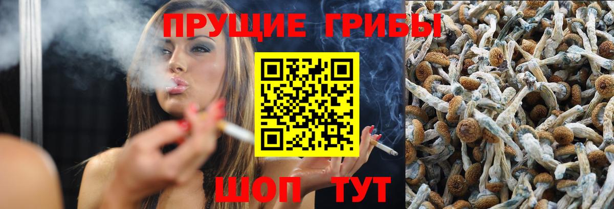 Галлюциногенные грибы мицелий  Вход с VPN  Лабытнанги 